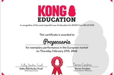 premio-europeu-kong-2020-image
